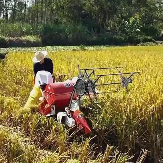 Combine Harvester Mini - Nueva máquina cosechadora automática de arroz